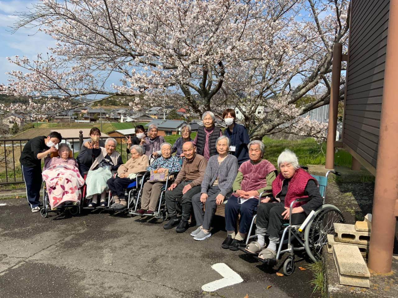 お花見