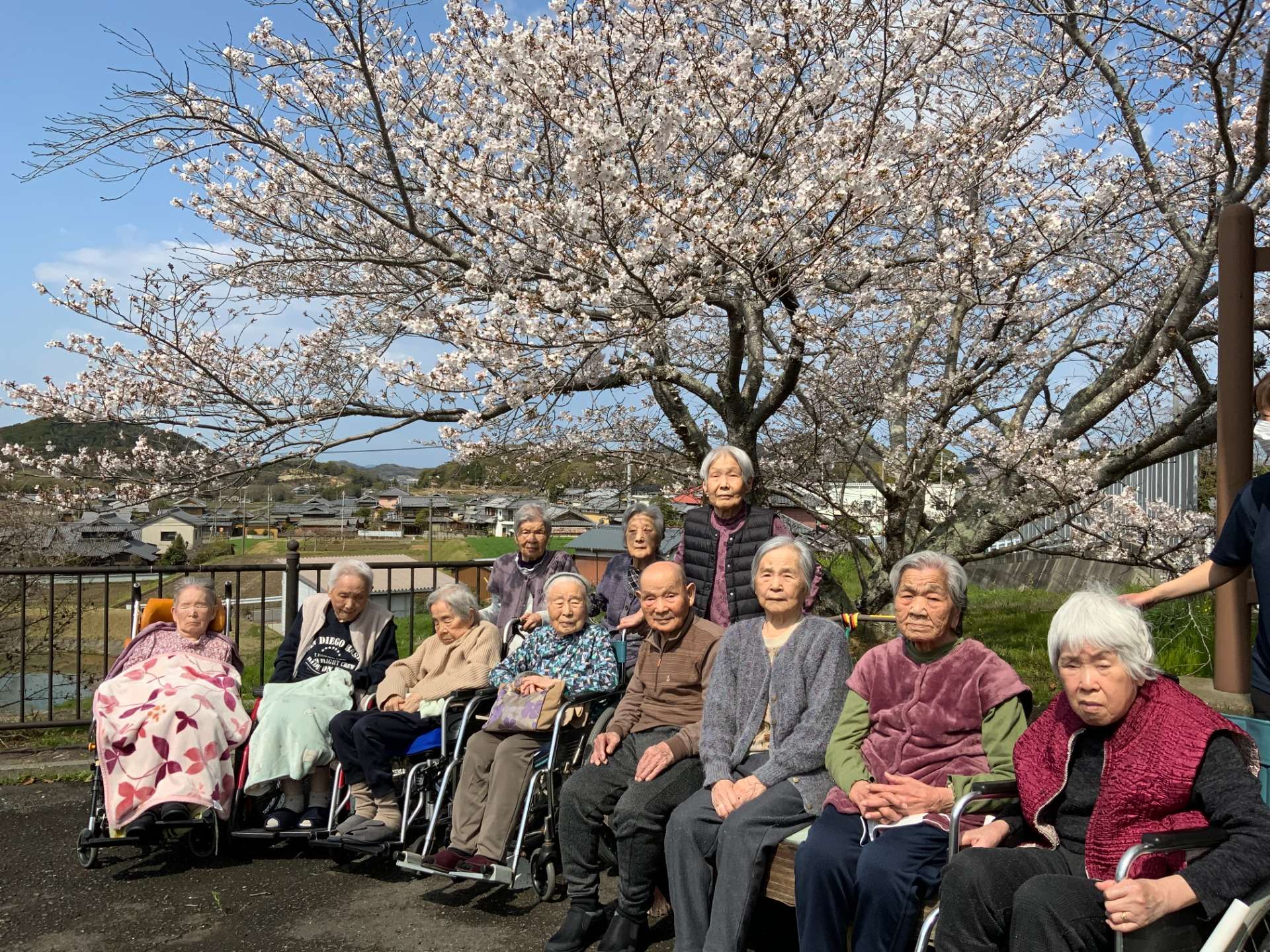 4月　｜　お花見
