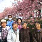 通所リハ「🌸カワヅザクラ🌸」