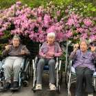 老健「お花見🌺」